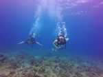 Hawaii Scuba divng 19