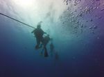 Hawaii Scuba divng 01