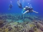 Hawaii Scuba divng 20