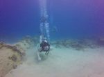 Hawaii Scuba divng 22