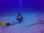 Hawaii Scuba divng 24