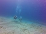 Hawaii Scuba divng 31