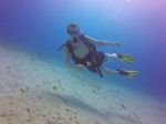 Hawaii Scuba divng 32