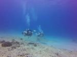 Hawaii Scuba divng 33