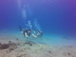 Hawaii Scuba divng 34