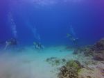 Hawaii Scuba divng 36