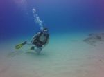 Hawaii Scuba divng 37