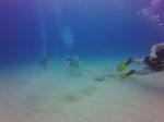 Hawaii Scuba divng 39