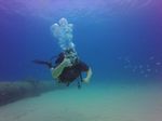 Hawaii Scuba divng 03