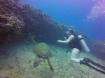 Hawaii Scuba divng 43