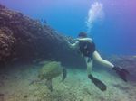 Hawaii Scuba divng 44