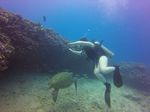 Hawaii Scuba divng 45