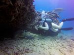 Hawaii Scuba divng 46