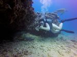 Hawaii Scuba divng 47