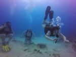 Hawaii Scuba divng 53