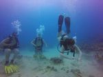 Hawaii Scuba divng 54