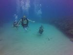 Hawaii Scuba divng 56