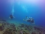 Hawaii Scuba divng 59