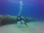 Hawaii Scuba divng 05