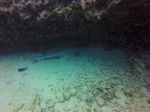 Hawaii Scuba divng 60