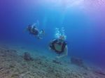 Hawaii Scuba divng 63