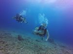 Hawaii Scuba divng 64