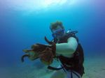 Hawaii Scuba divng 66