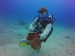 Hawaii Scuba divng 69