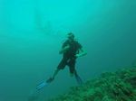 Hawaii Scuba divng 12