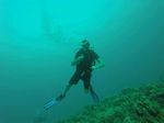 Hawaii Scuba divng 12