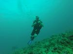 Hawaii Scuba divng 13