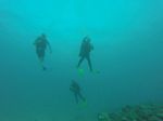 Hawaii Scuba divng 19