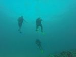 Hawaii Scuba divng 20