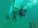 Hawaii Scuba divng 29