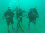 Hawaii Scuba divng 31