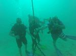 Hawaii Scuba divng 33