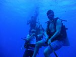 Hawaii Scuba divng 11