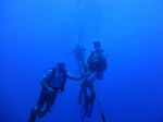 Hawaii Scuba divng 12