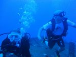 Hawaii Scuba divng 15