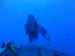 Hawaii Scuba divng 16