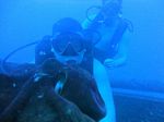 Hawaii Scuba divng 20