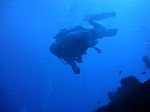 Hawaii Scuba divng 26