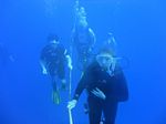 Hawaii Scuba divng 29