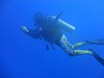 Hawaii Scuba divng 31