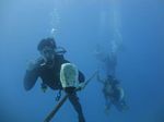 Hawaii Scuba divng 33