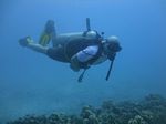 Hawaii Scuba divng 47