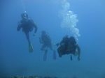 Hawaii Scuba divng 48