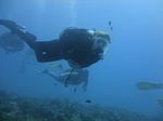 Hawaii Scuba divng 49