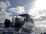 Hawaii Scuba divng 04