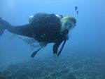 Hawaii Scuba divng 51